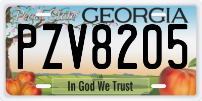 GA license plate PZV8205