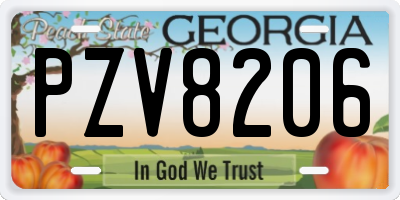 GA license plate PZV8206