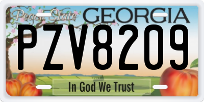 GA license plate PZV8209