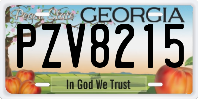 GA license plate PZV8215