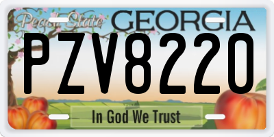 GA license plate PZV8220