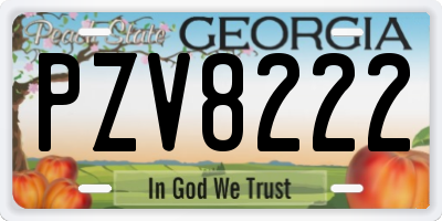 GA license plate PZV8222