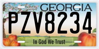 GA license plate PZV8234
