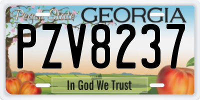 GA license plate PZV8237