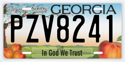 GA license plate PZV8241