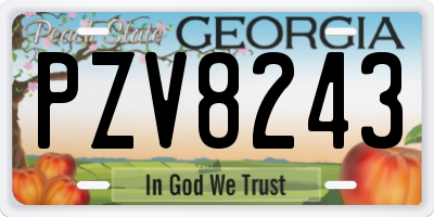 GA license plate PZV8243