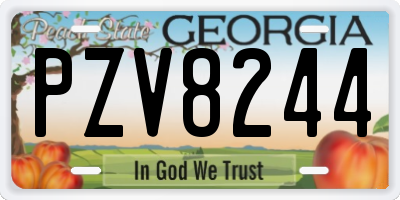 GA license plate PZV8244