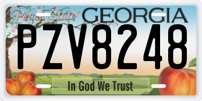 GA license plate PZV8248