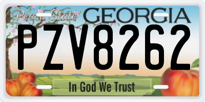 GA license plate PZV8262