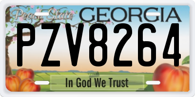 GA license plate PZV8264