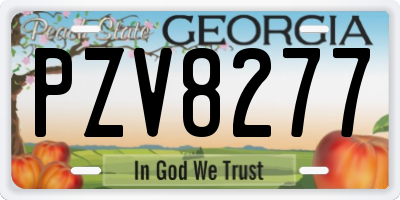 GA license plate PZV8277