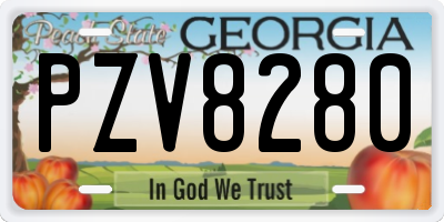 GA license plate PZV8280