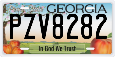 GA license plate PZV8282
