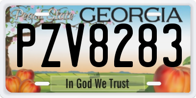 GA license plate PZV8283