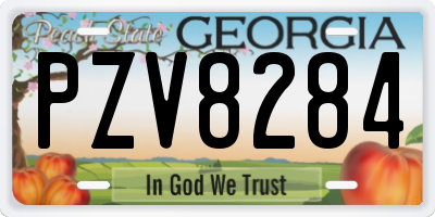 GA license plate PZV8284