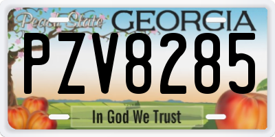 GA license plate PZV8285