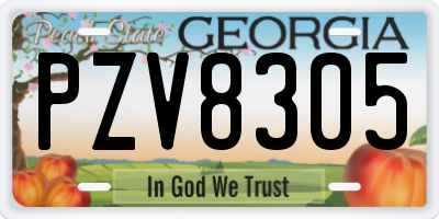 GA license plate PZV8305