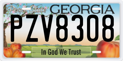 GA license plate PZV8308