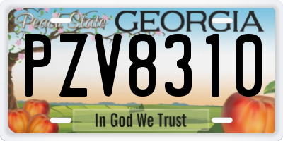 GA license plate PZV8310