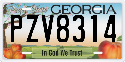 GA license plate PZV8314