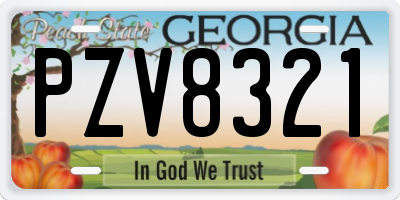 GA license plate PZV8321