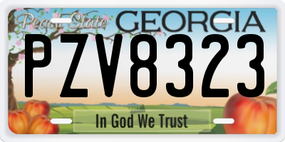 GA license plate PZV8323