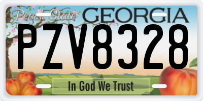 GA license plate PZV8328