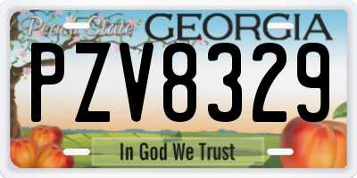 GA license plate PZV8329