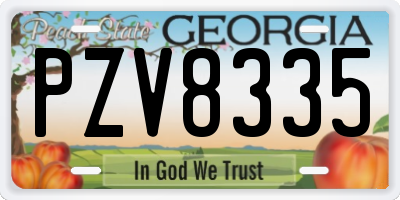 GA license plate PZV8335