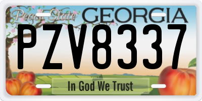 GA license plate PZV8337