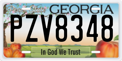 GA license plate PZV8348