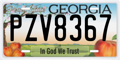 GA license plate PZV8367