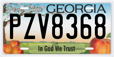 GA license plate PZV8368