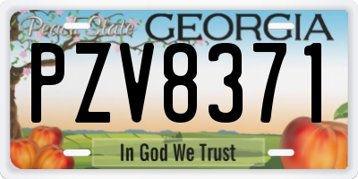 GA license plate PZV8371