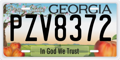GA license plate PZV8372