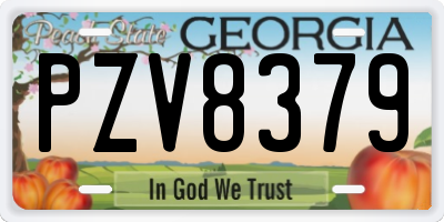 GA license plate PZV8379