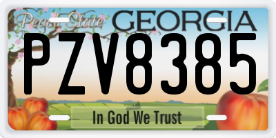 GA license plate PZV8385