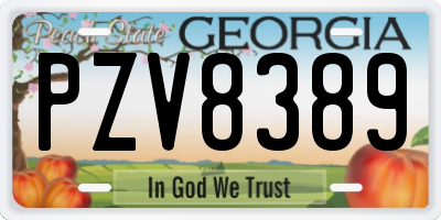 GA license plate PZV8389