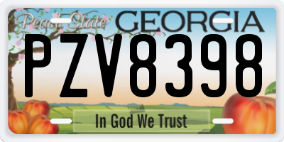 GA license plate PZV8398