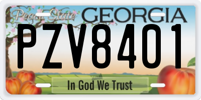 GA license plate PZV8401