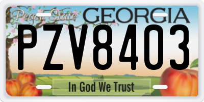 GA license plate PZV8403