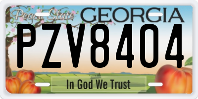 GA license plate PZV8404