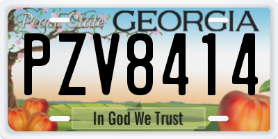 GA license plate PZV8414