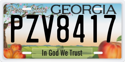 GA license plate PZV8417