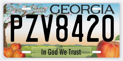GA license plate PZV8420