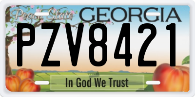 GA license plate PZV8421