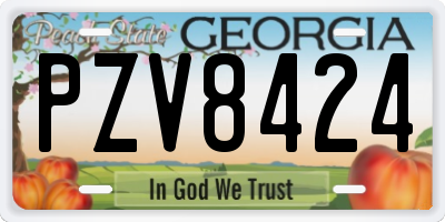 GA license plate PZV8424