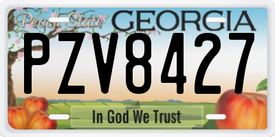 GA license plate PZV8427