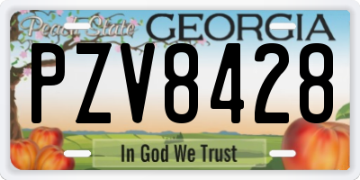 GA license plate PZV8428