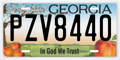 GA license plate PZV8440